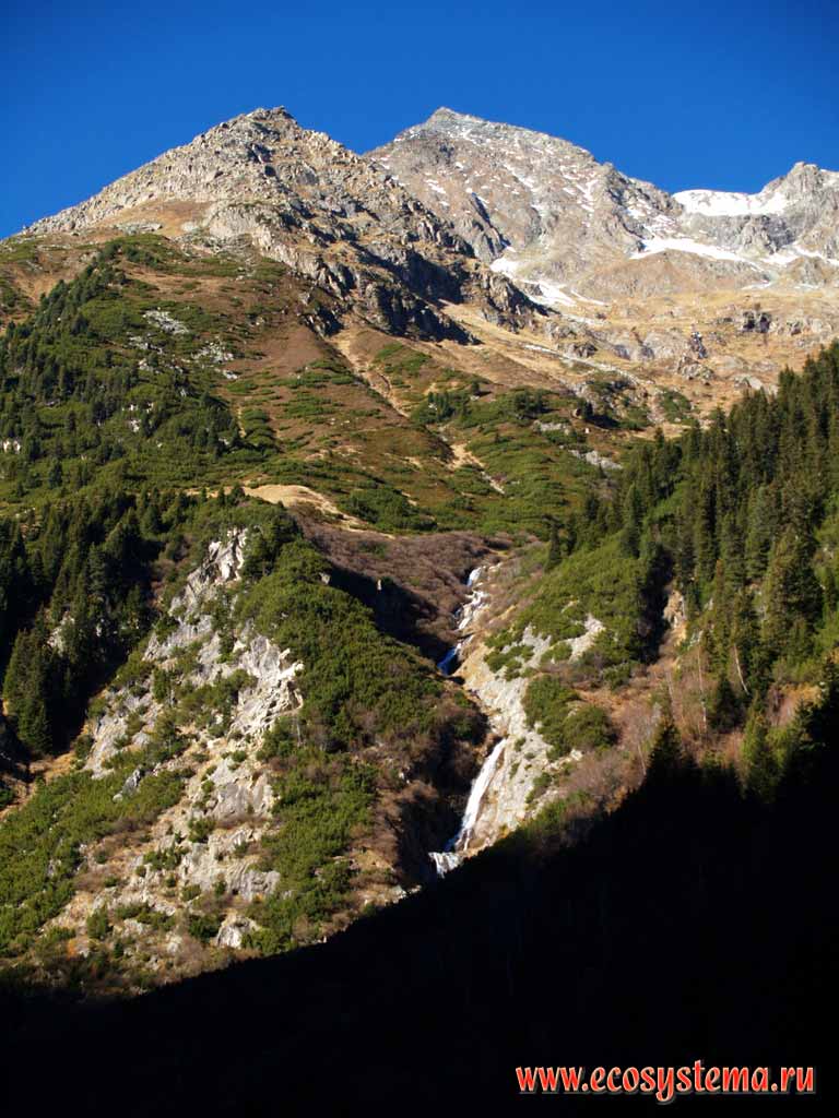 Высотная поясность в Восточных Альпах: верхняя граница леса
и субальпийских лугов. Елово-пихтовые темнохвойные леса и
стланиковые редколесья.
Высота около 2000 м. н.у.м. Восточные Альпы, земля Тироль, Нойштифт