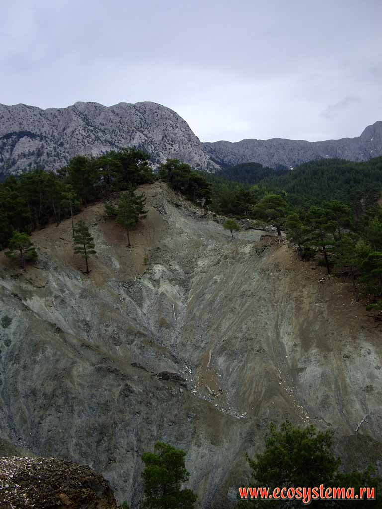 The valley of mountain river, erosion of the mountainside, the scree.
The zone of coniferous (pine) forests. Height -1200 m above the sea level.
Tavr mountain system (Asia minor plateau, south Turkey)