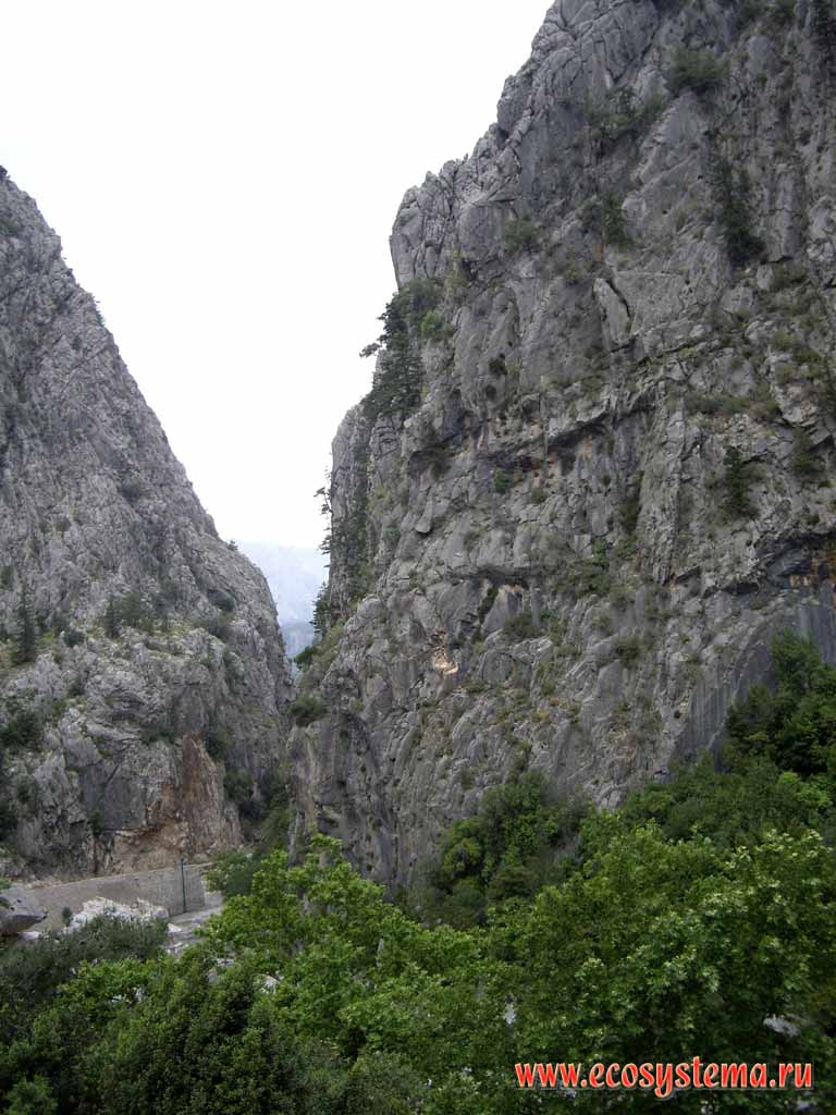 Дорога в горном ущелье.
Горная система Тавр (Малоазиатское нагорье, южная Турция)