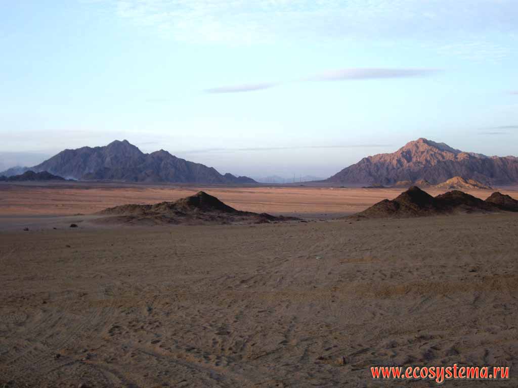 Аравийская (Восточная) пустыня песчано-каменистая пустыня - гамада.
Горная цепь (гряда) Этбай (Шарм) (до 1000 м над уровнем моря)