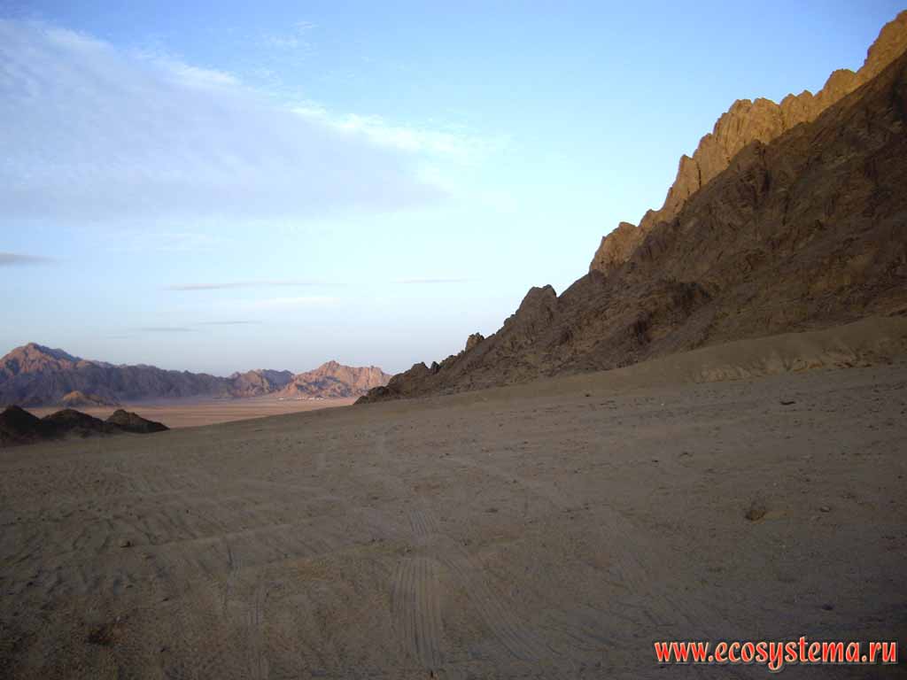 Аравийская (Восточная) пустыня песчано-каменистая пустыня - гамада.
Горная цепь (гряда) Этбай (до 1000 м над уровнем моря)
