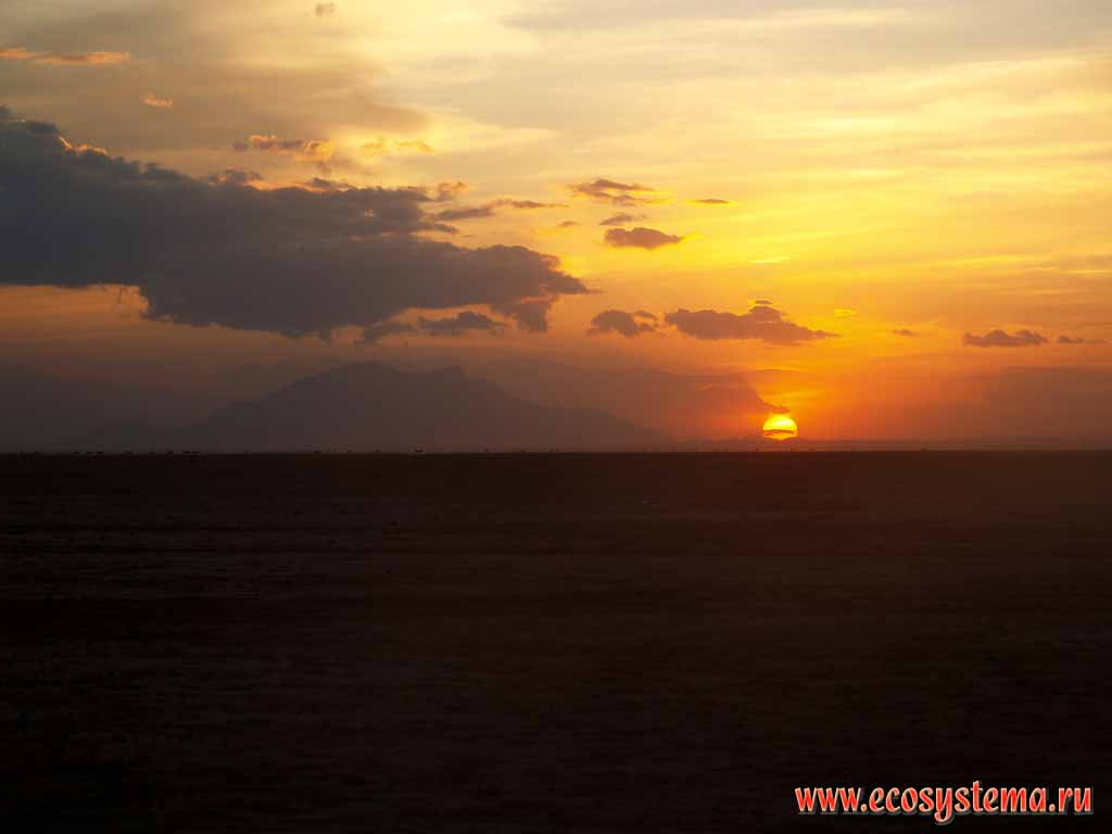 Sunset in savanna. The volcanic mountain range Kilimanjaro with peak Kibo (5895 m) in the distance.
Kenia, Ambosely National Park, east-African plateau