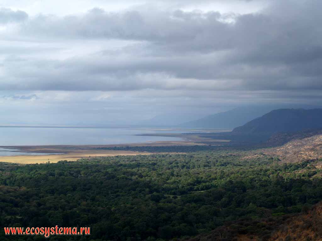 The bank of Manyara lake and tropical forest on the slope of Grand African break.
Great rift valley. Tanzania, Manyara National Park, east-African plateau
