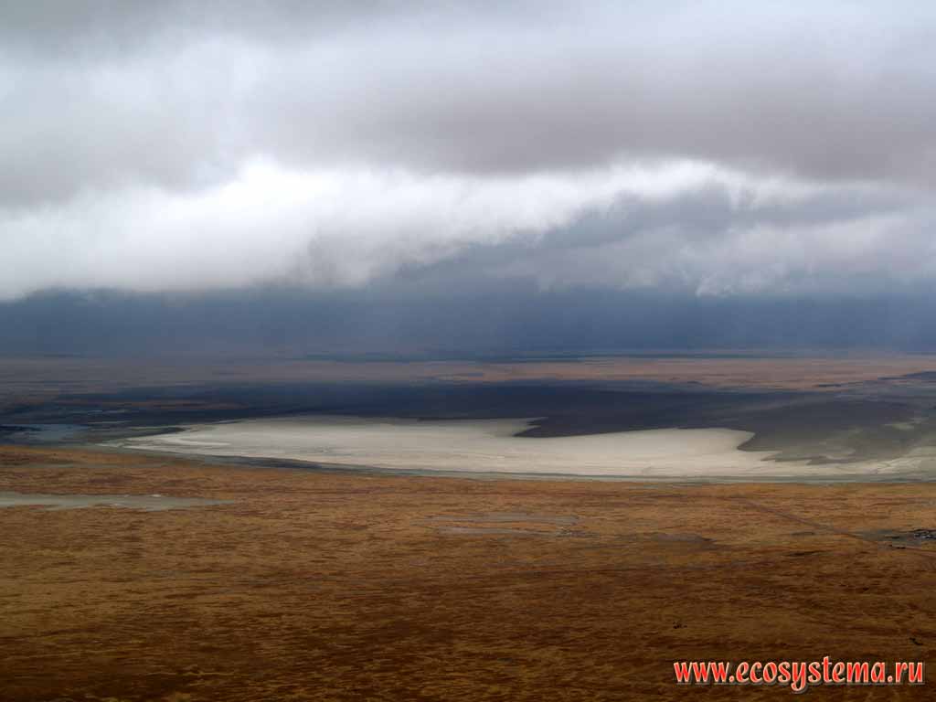 The sediment of salt on banks of Magady lake.
Tanzania, the Ngorongoro caldera, east-African plateau
