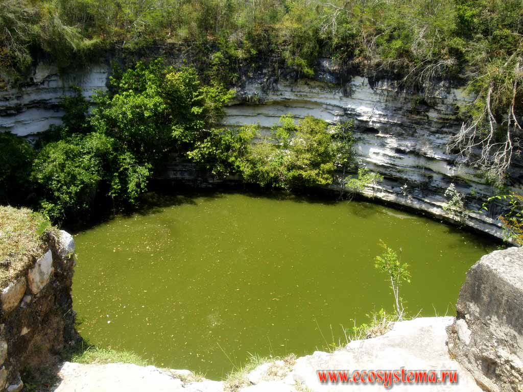 Chichen Itza, Maya ruins, holy well (shaft) - 