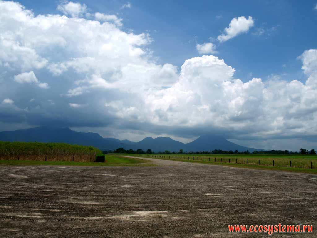 Сельскохозяйственный ландшафт центральной Коста-Рики.
Вдали (справа) - вулкан Аренал (высота - 1657 м н.у.м.).
Национальный парк Аренал, Панамский перешеек