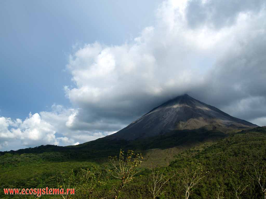 Действующий вулкан Аренал (высота - 1657 м н.у.м.), и влажные
тропические леса у его подножия.
Национальный парк Аренал, Панамский перешеек