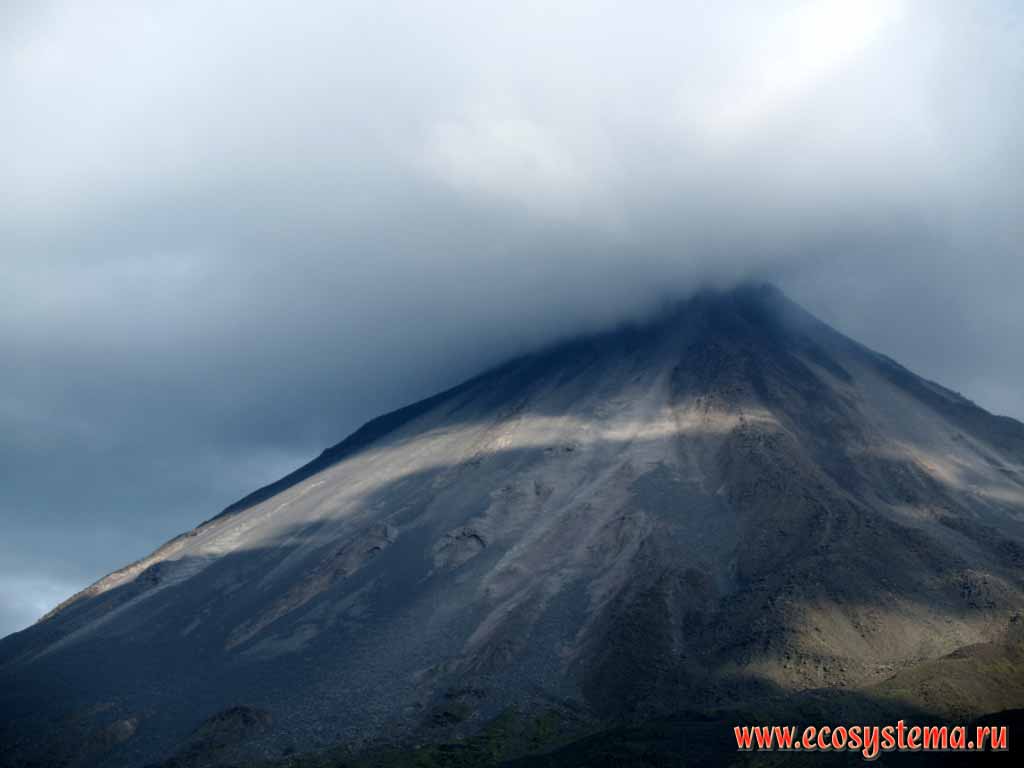 The slope of Arenal volcano (1657 m height), vestured (wreathed) by
volcanic lava and ash (the last eruption was in 2000 AD, the last disastrous
eruption was in 1968 AD). Arenal National park, Isthmus of Panama