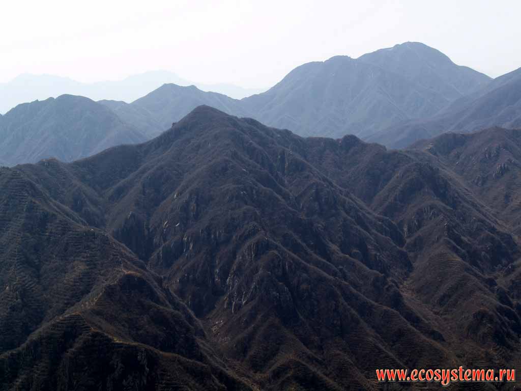 Горы Тяньшоушань, покрытые ксерофитной кустарниковой
растительностью и широколиственными лесами умеренного пояса.
Провинция Шанси, окрестности Пекина, северо-восточный Китай