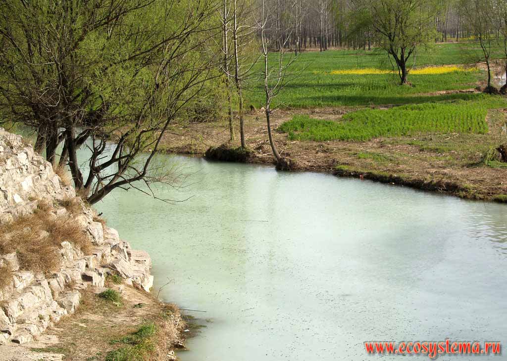Один из рукавов реки Ло. Сельскохозяйственный ландшафт.
Окрестности города Лоян, провинция Хэнань, Восточный Китай