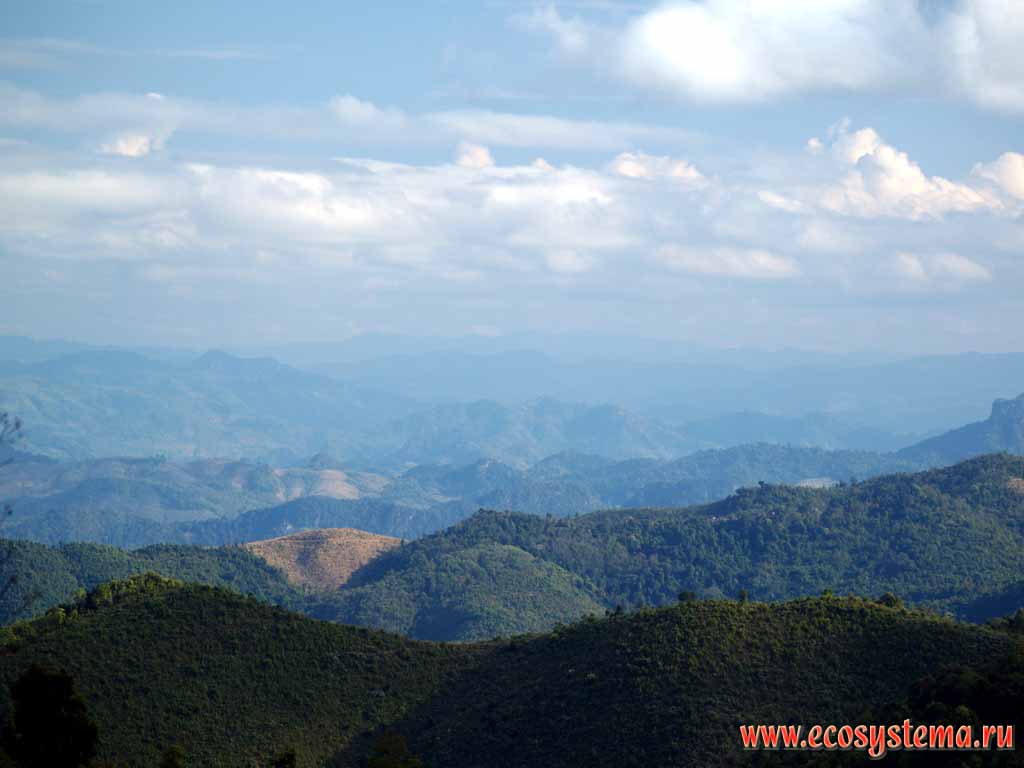 Горная система Дай-Лаунг (высоты около 2000 м н.у.м.).
Влажные тропические леса. Полуостров Индокитай