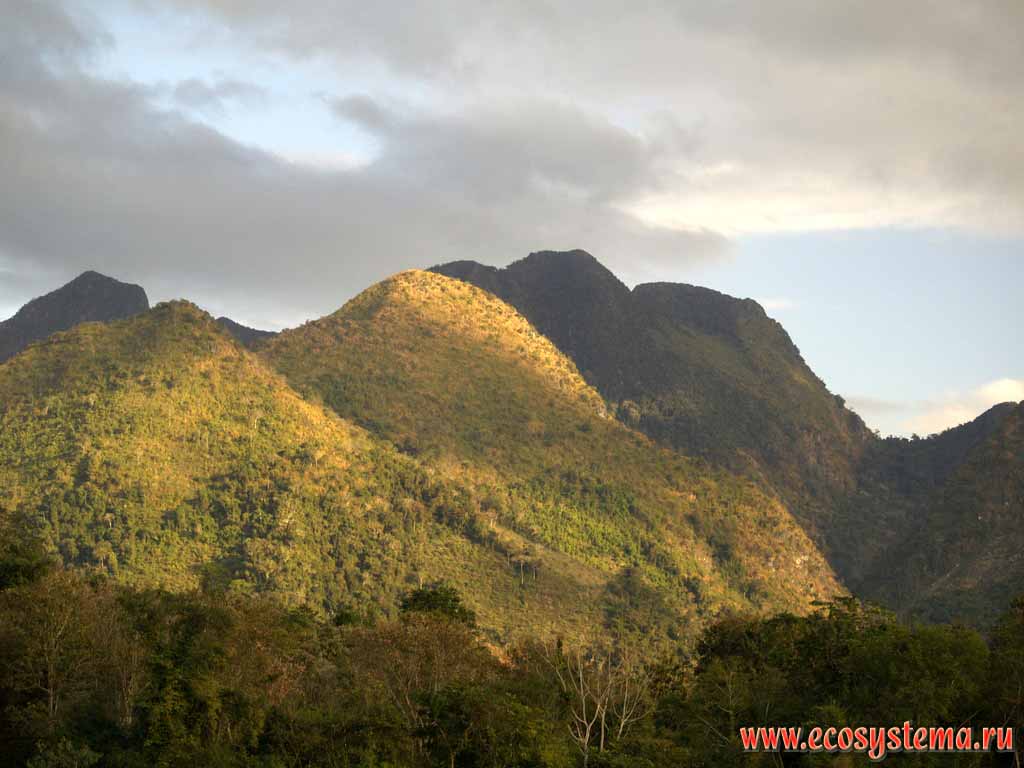 Горная система Дай-Лаунг (высоты около 2000 м н.у.м.).
Влажные тропические леса. Полуостров Индокитай