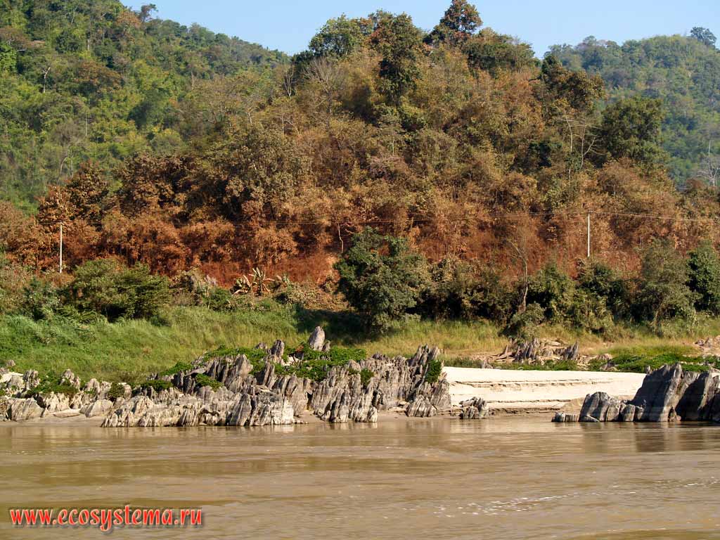 Река Меконг в среднем течении прорезает кристаллические
горные породы горной системы Дай-Лаунг.
Влажные тропические леса на склонах гор