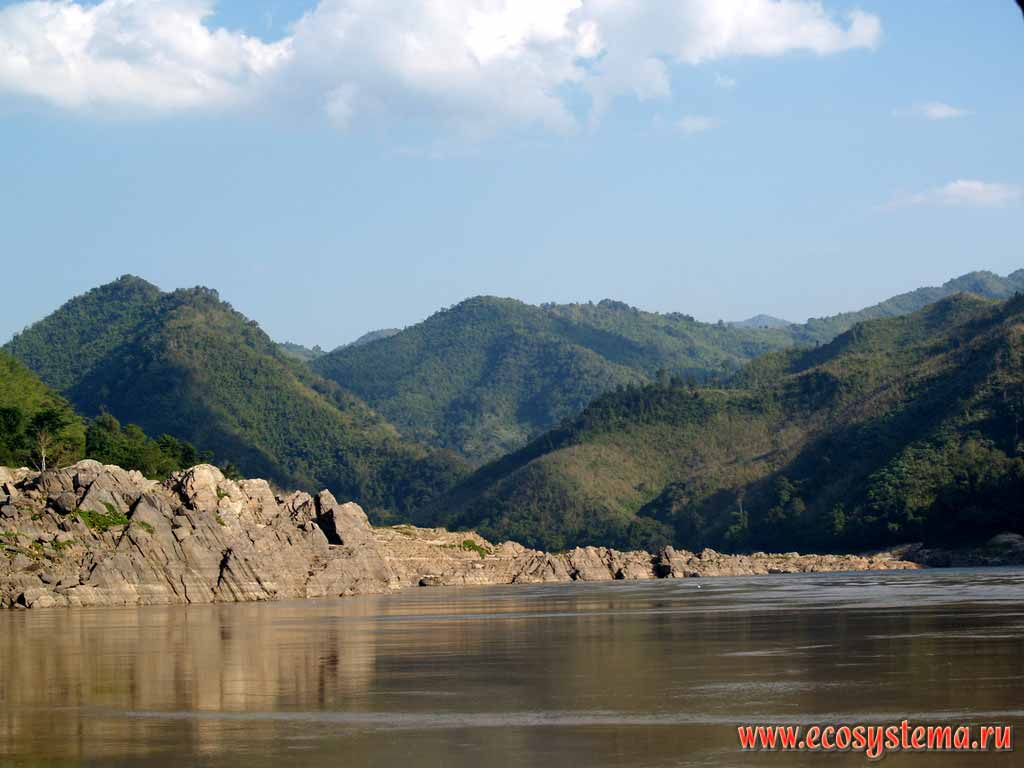 Река Меконг в среднем течении прорезает кристаллические
горные породы горной системы Дай-Лаунг.
Влажные тропические леса на склонах гор