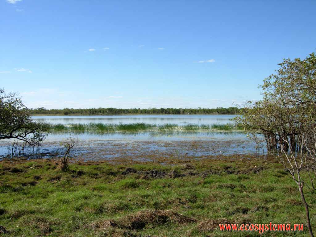 Adelaide River. Kakadu National Park. Northern Territory, Australia