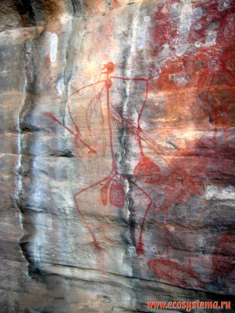 Наскальная живопись бушменов.
Национальный парк Какаду (штат Северные территории)