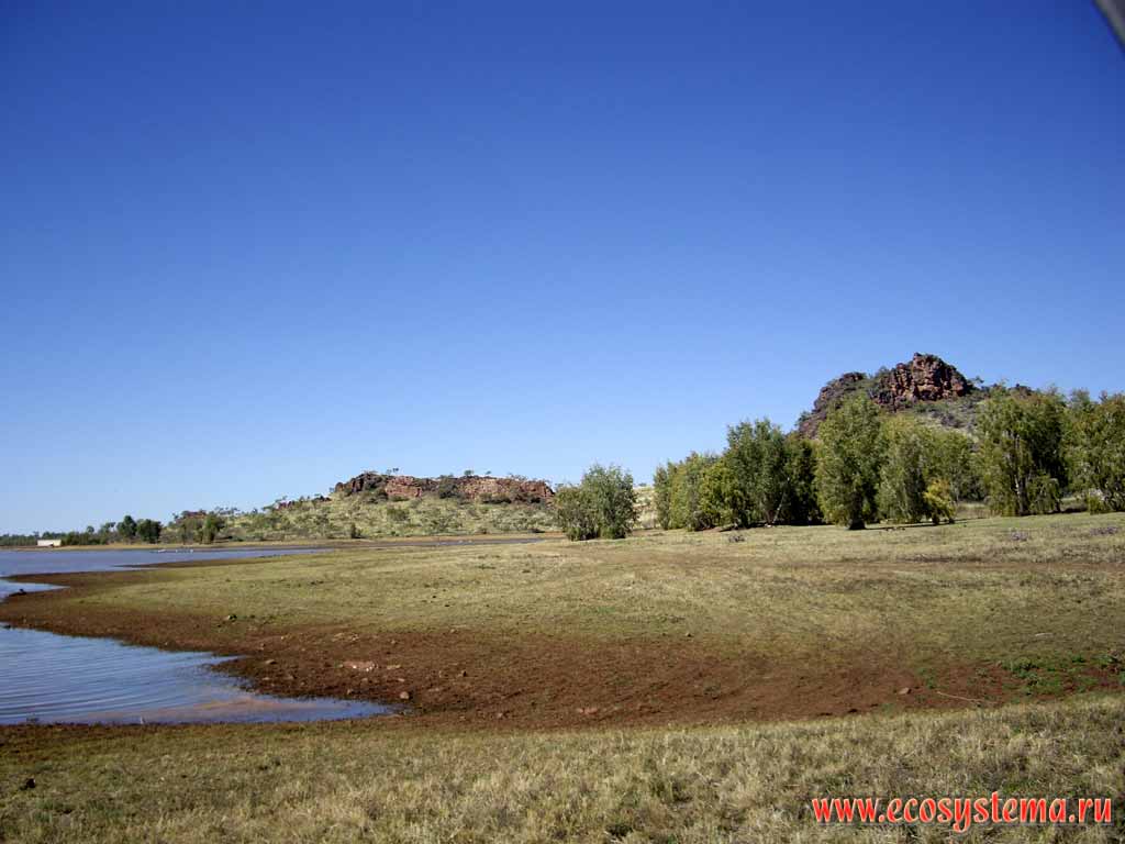 Freshwater pond in savanna. Outskirts of Cloncurry (Queensland). Australia, Northern Territory