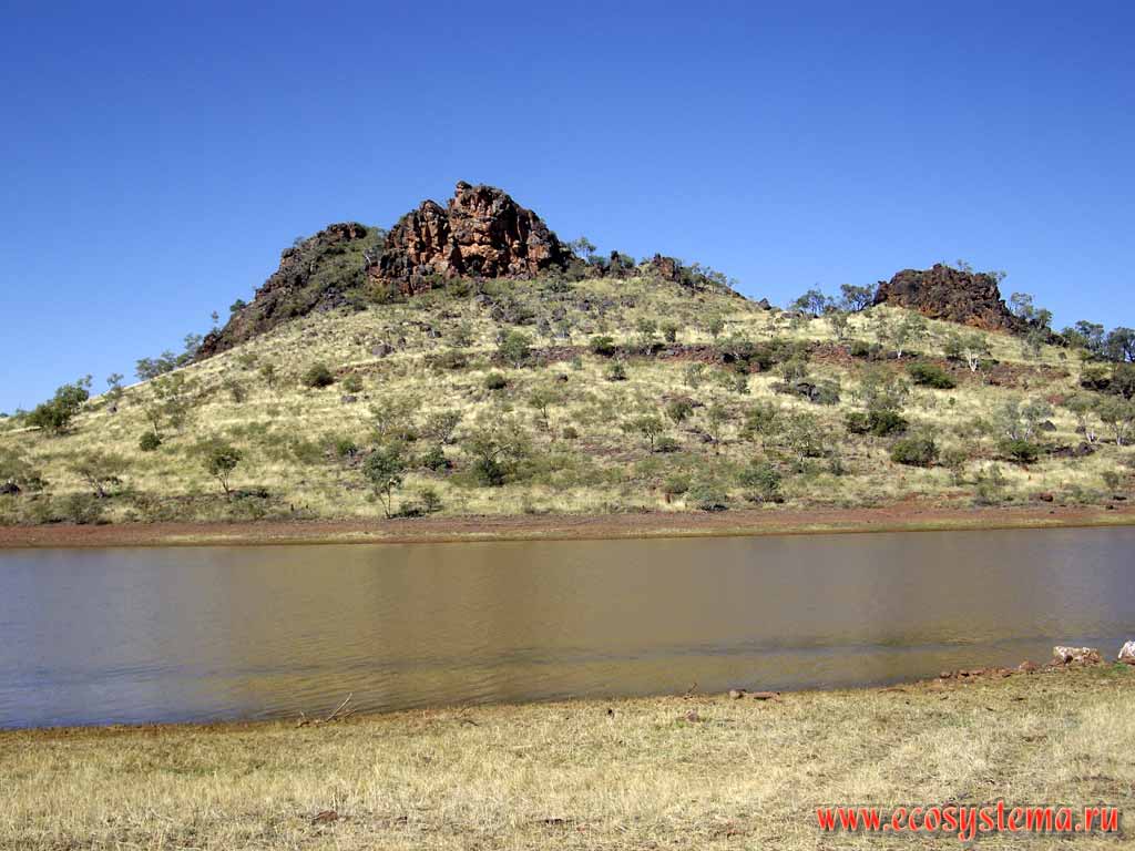 Basalt outliers on the bank of freshwater pond in savanna. Outskirts of Cloncurry (Queensland). Australia, Northern Territory