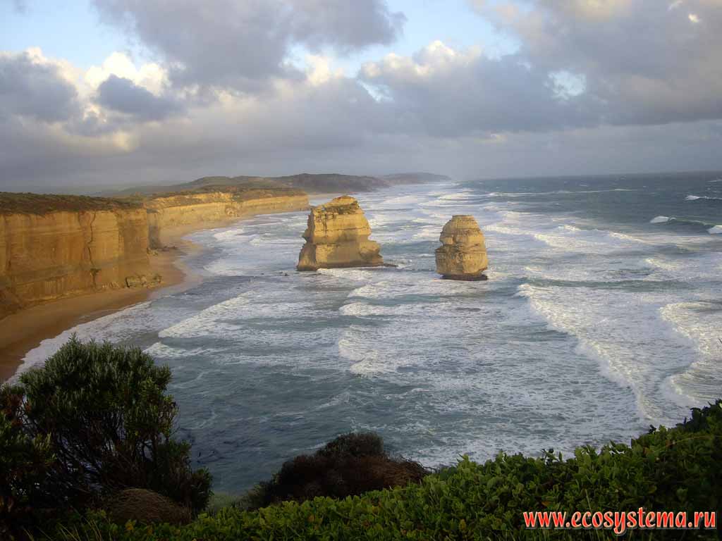 The scarp - coastal cliff formed by the surf. The Twelve Apostles - limestone outliers on the shore of the Bass Strait, separating Tasmania from the south of the Australian mainland. Great Ocean Road. Melbourne area, Victoria, Australia