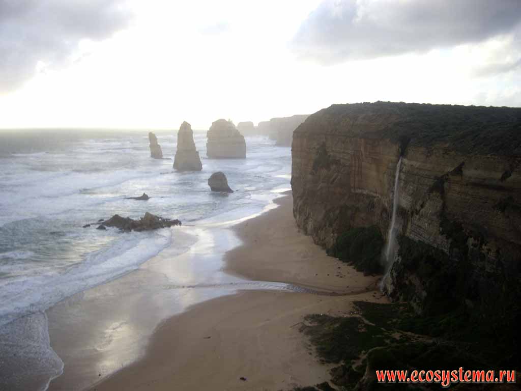 The scarp - coastal cliff formed by the surf. The Twelve Apostles - limestone outliers on the shore of the Bass Strait, separating Tasmania from the south of the Australian mainland. Great Ocean Road. Melbourne area, Victoria, Australia
