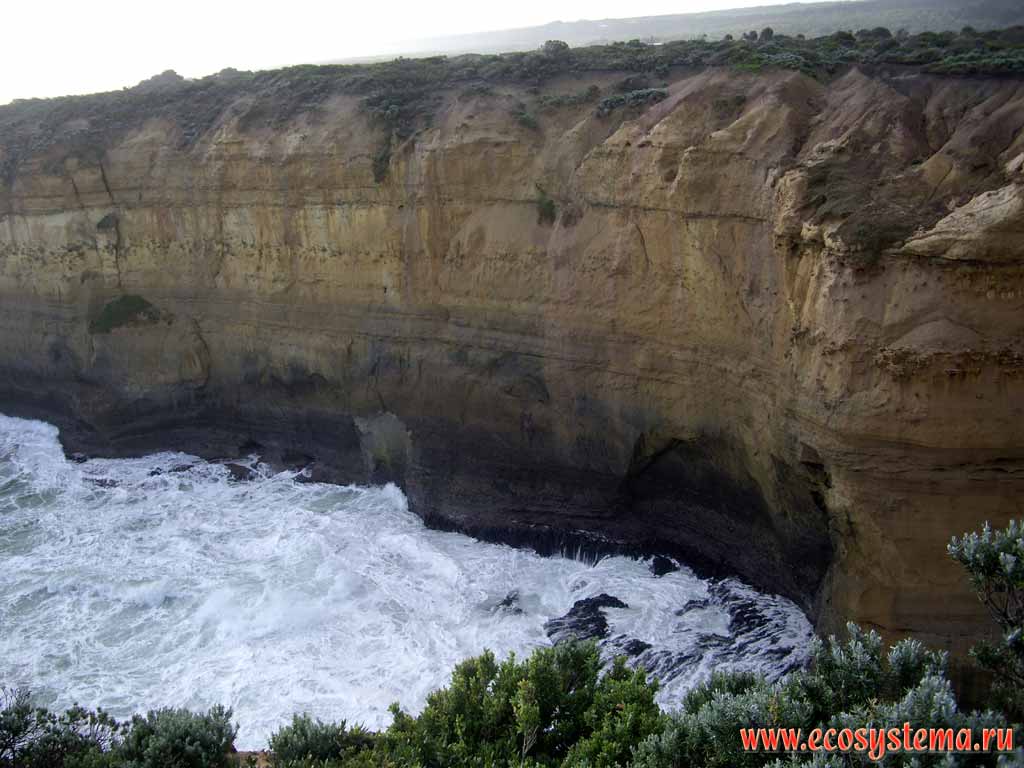 The scarp - coastal cliff formed by the surf. Bank of the Bass Strait, separating Tasmania from the south of the Australian mainland. Great Ocean Road. Melbourne area, Victoria, Australia