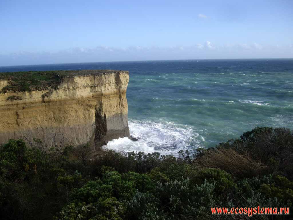 The scarp - coastal cliff formed by the surf. Bank of the Bass Strait, separating Tasmania from the south of the Australian mainland. Great Ocean Road. Melbourne area, Victoria, Australia