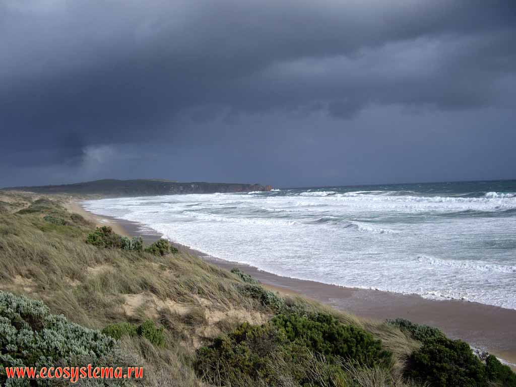 Surf (undulating) erosion zone and sandy beach on the bank of the Phillip Island.
Melbourne area, Victoria, Australia