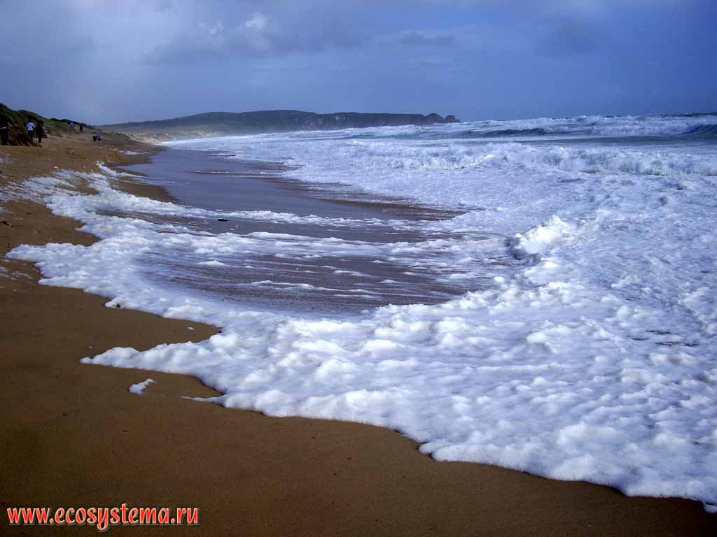 Sandy beach on the bank of the Phillip Island.
Melbourne area, Victoria, Australia