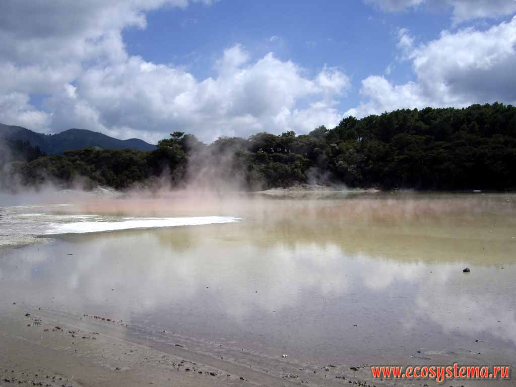 Hot water reek over the termal Champagne Pool.
The Bay of Plenty region, Rotorua District, North Island, New Zealand