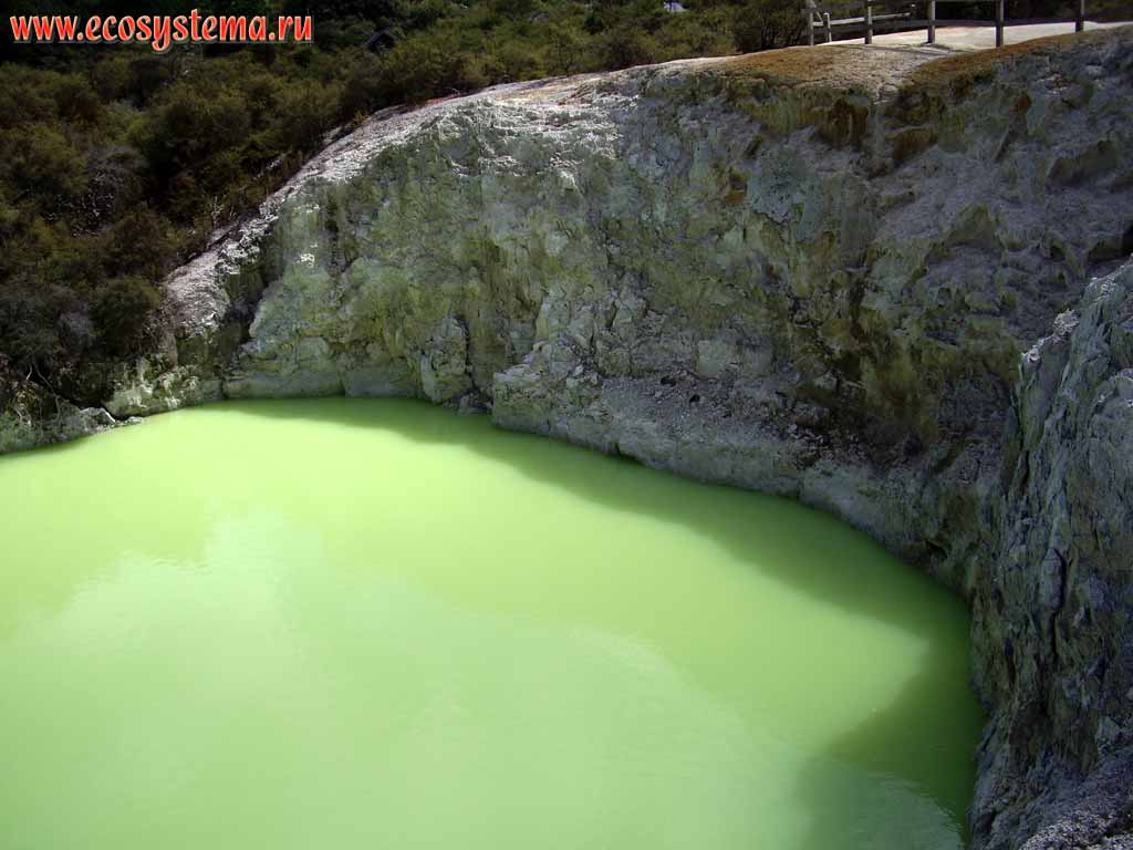 Гейзерное озеро Купальня дьявола (Devil's Bath). Вода содержит соли
серы и железа (регион Бей-оф-Пленти, округ Роторуа, север острова)