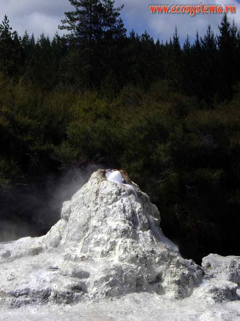 The geyser cone Lady Knox - the geyserite sediments.
The Bay of Plenty region, Rotorua District, North Island, New Zealand