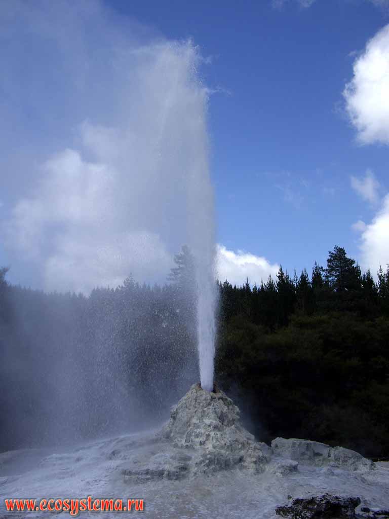 Lady Knox geyser during the eruption.
The Bay of Plenty region, Rotorua District, North Island, New Zealand