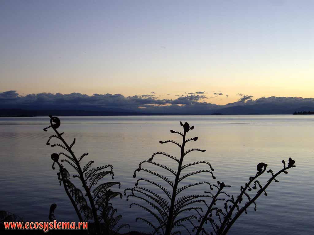 Озеро Таупо
(регион Бей-оф-Пленти, округ Таупо, север острова)