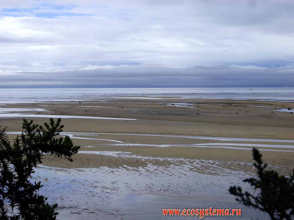 Береговые песчаные отложения на литорали во время отлива.
Национальный парк Абеля Тасмана,
Тасманово море (регион Нельсон, север Южного острова)