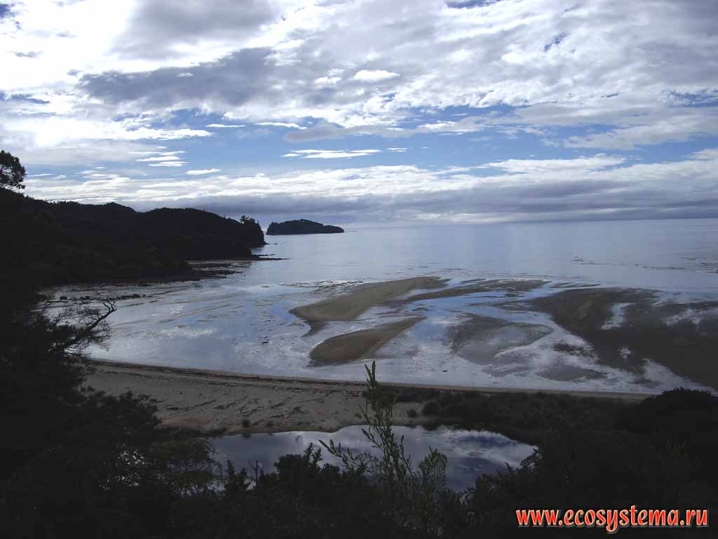 Low tide in the Sandy Bay. On the foreground is a spit, separated the lagoon from the sea.
On the background is a Fisherman Island.
Abel Tasman National Park, Tasman Sea.
Nelson region, northern part of the South Island, New Zealand