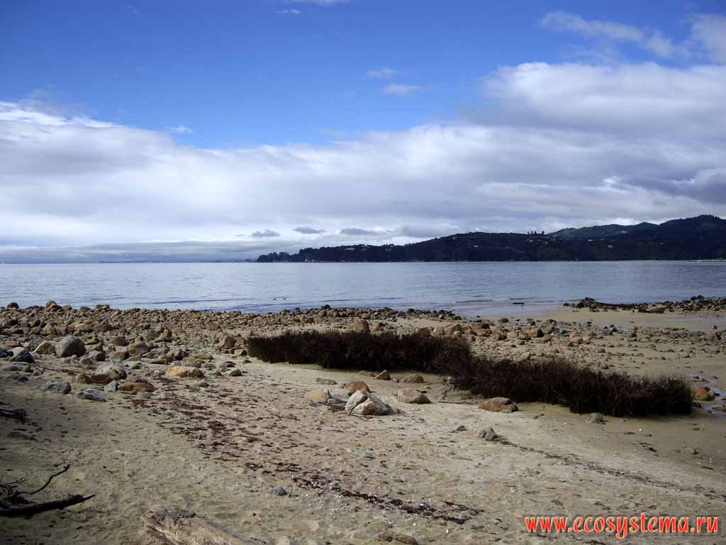 Песчано-каменистый пляж. Берег Тасманова моря.
Национальный парк Абеля Тасмана
(регион Нельсон, север Южного острова)