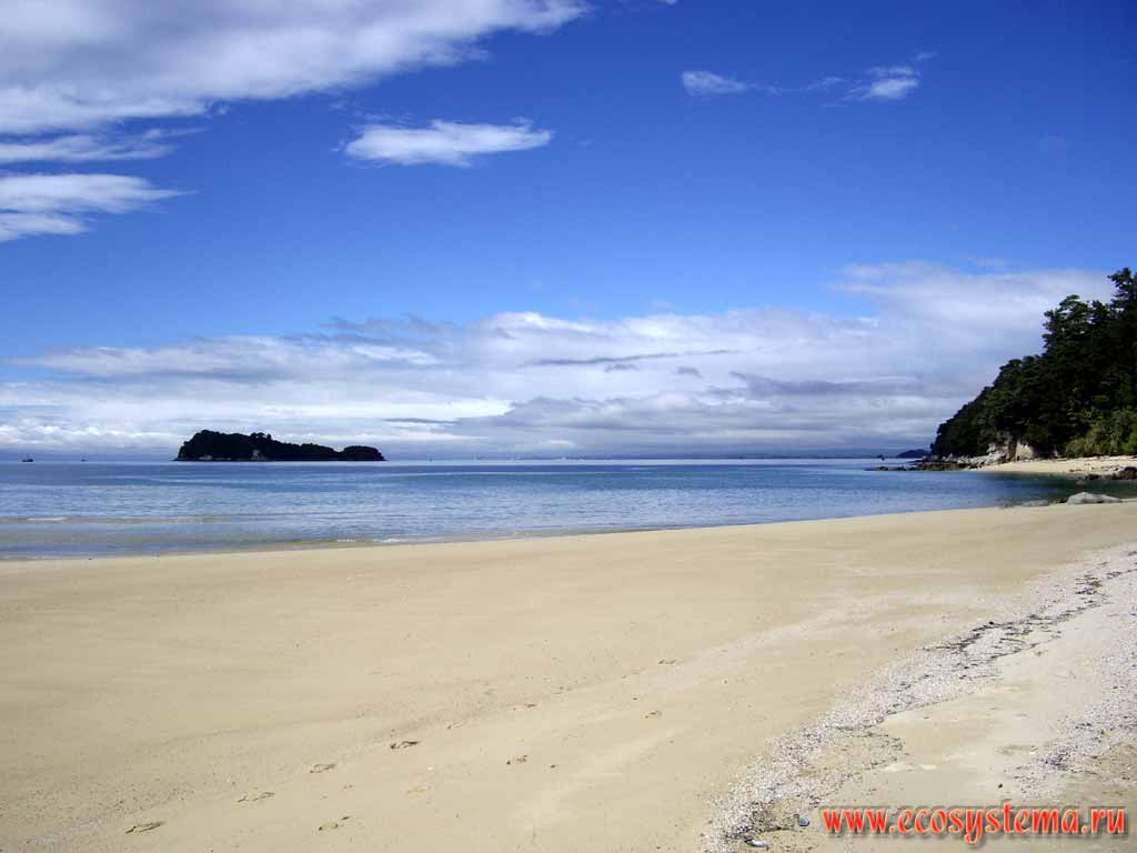 Песчаный пляж. Берег Тасманова моря. Вдали - Рыбацкий остров
(Fisherman Island). Национальный парк Абеля Тасмана
(регион Нельсон, север Южного острова)