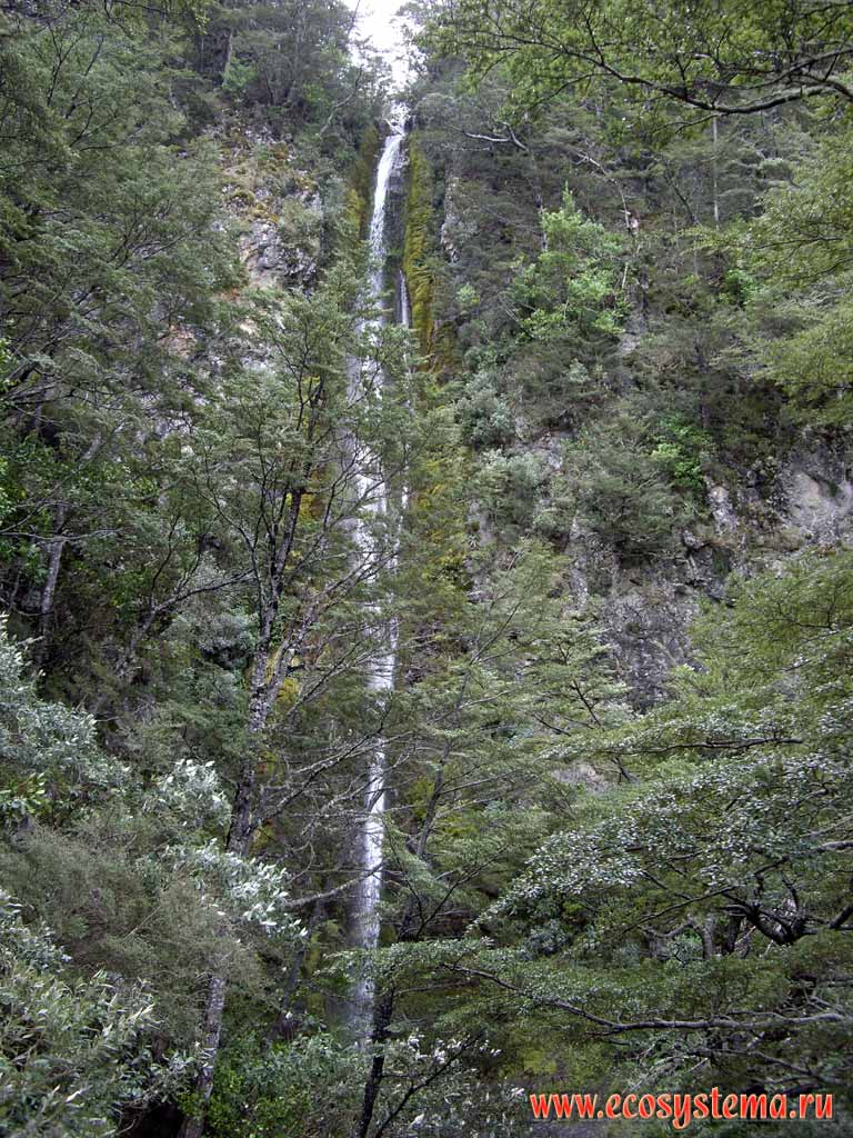 Dog Stream Waterfall in the deciduous forest zone.
700 meters above sea level, Hanmer Springs national park, Canterbury region,
eastern part of the South Island, New Zealand