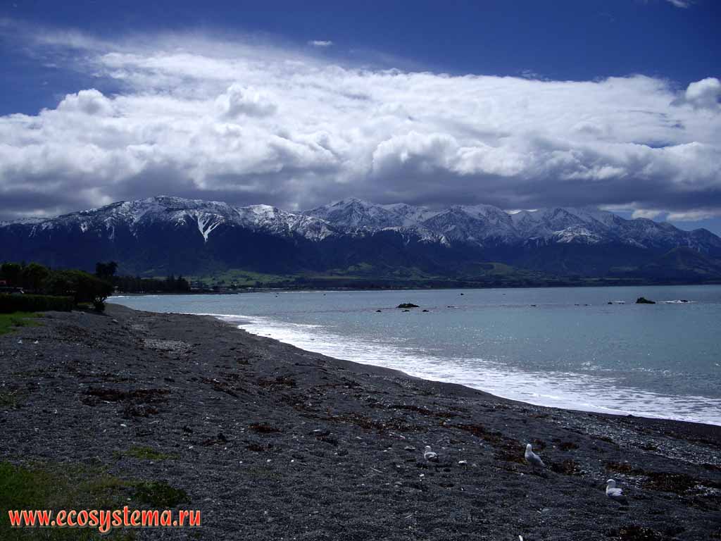 Галечниковый пляж. Берег Тихого океана. Вид на горный хребет

