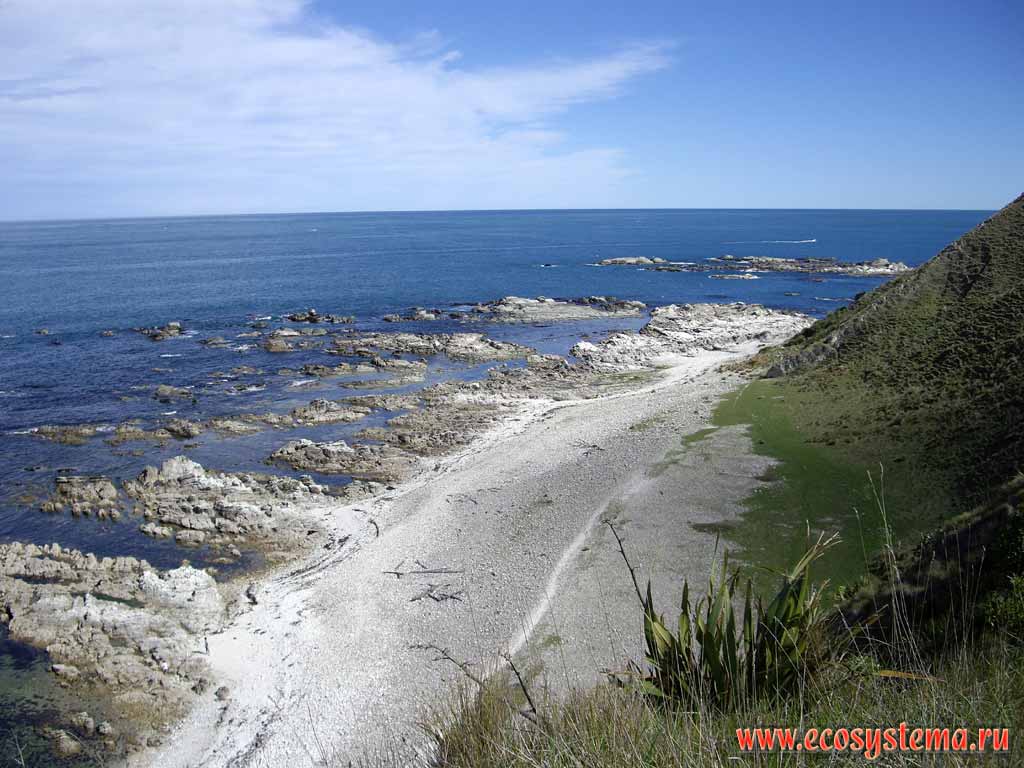 The scarp - undulating (wave) erosion zone with karst elements. Pacific ocean coast.
Kaikoura district, Canterbury region, north-eastern part of the South Island, New Zealand