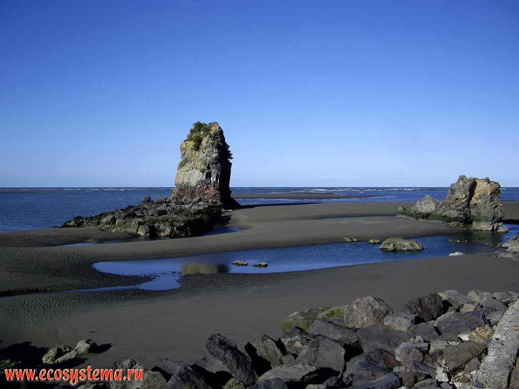 Sandy beach with basalt outlier on the Pacific Ocean coast.
Barnett Park, Christchurch area, Canterbury region, eastern part of the South Island, New Zealand