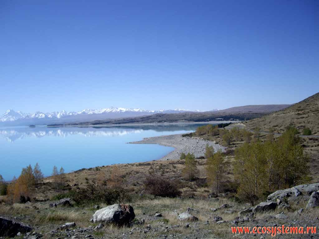 Lake Pukaki - the typical mountain (alpine) oligotrophic (with low nutrient level) glacial lake.
480 meters above sea level. Southern (New Zealand) Alps.
Mount Cook (the highest peak in New Zealand) is far away on the left (3764 m height).
Canterbury region, South Island, New Zealand