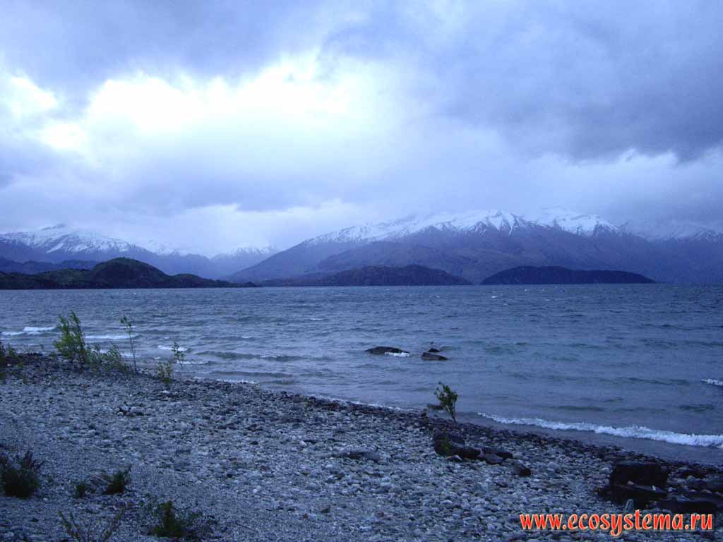 Озеро Ванака (высота - 300 м над уровнем моря, евтрофное), регион Отаго,
Новозеландские, или Южные Альпы