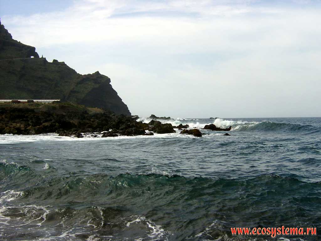 The scarp - wave (undulating) erosion zone of the Atlantic ocean coast.
Teno peninsula (Punta de Teno) — north-west coast of the Tenerife Island, Canary Archipelago