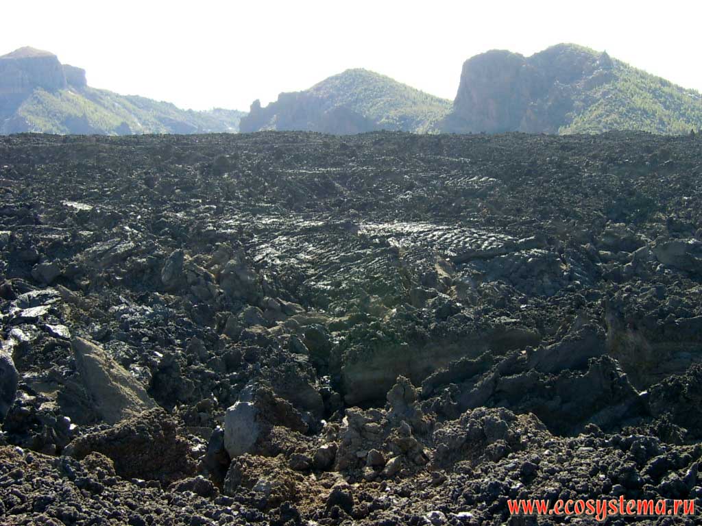 Volcanic lava and scoria field from 1709 eruption. Las Canadas caldera at the foot of Pico Viejo volcano.
2400 meters above sea level, Tenerife Island, Canary Archipelago
