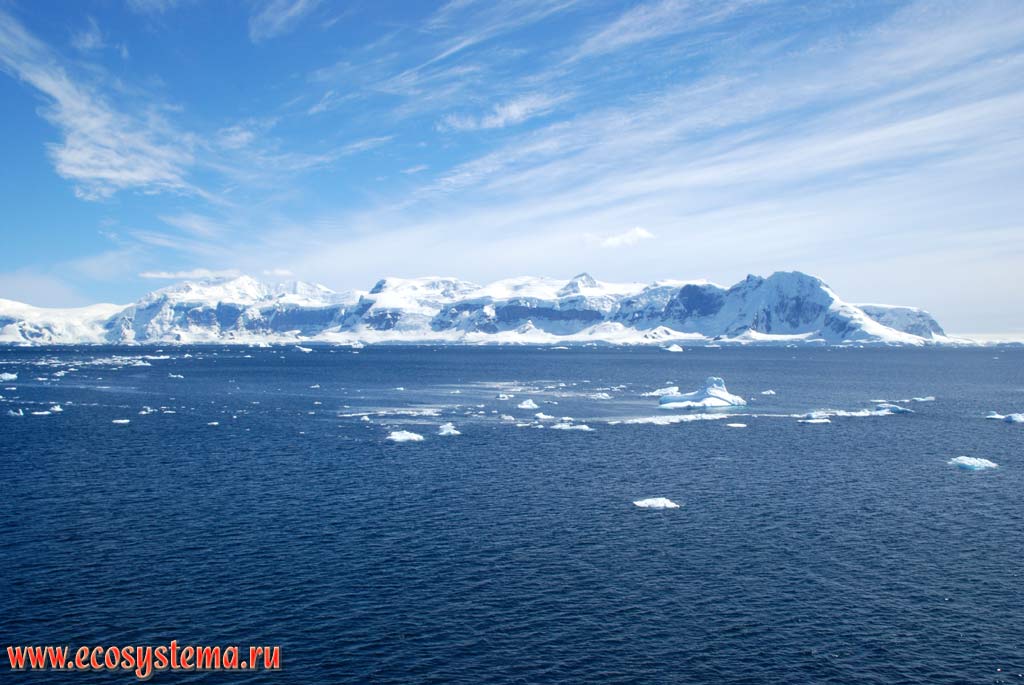 Остров Кувервилль, покрытый материковыми ледниками.
Западная Антарктика, Южные Шетландские острова