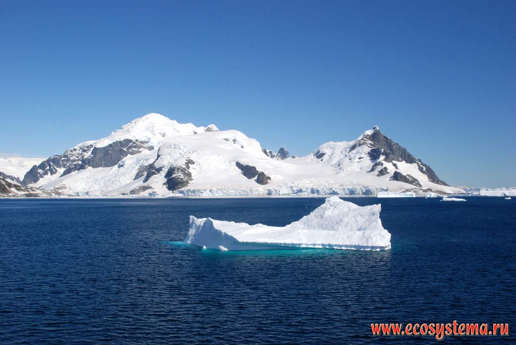 Остров Кувервилль, покрытый материковыми ледниками.
Айсберги - обломки материковых и шельфовых ледников.
Западная Антарктика, Южные Шетландские острова