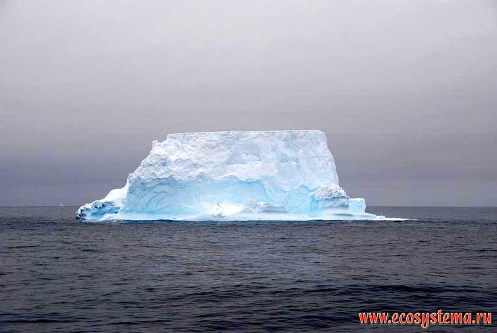 Small table iceberg in the Weddell Sea, on the way to Antarctic peninsula, West Antarctic