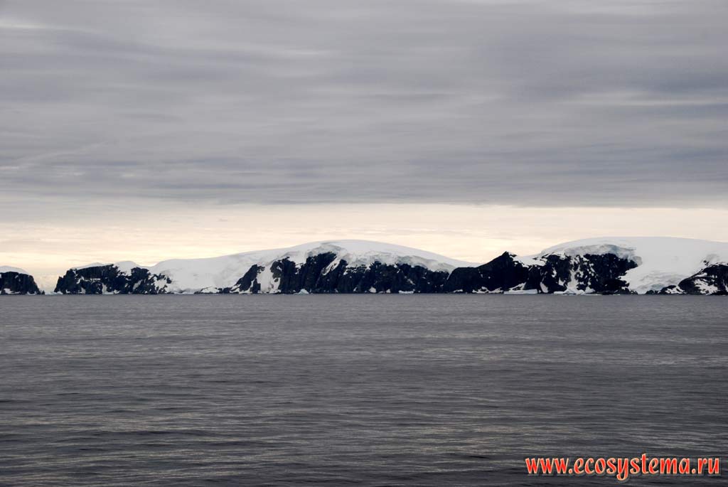 Остров Халф Мун, Южные Шетландские острова,
море Скотта, Западная Антарктика