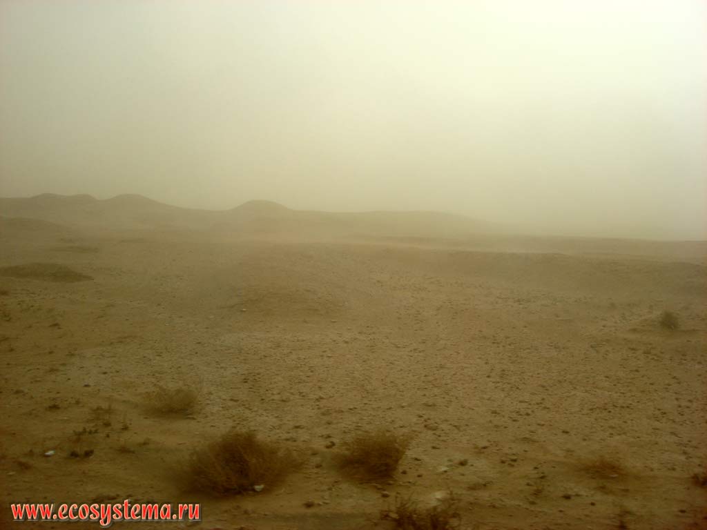 The dust storm in the Syrian desert. Altitude is about 600 meters above sea level. Syria on the border with Iraq.
It is also the border between Asian Mediterranean and Arabian geographical provinces
